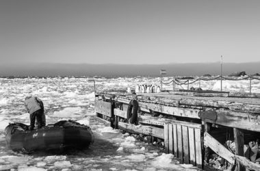 Varios pingüinos de Adelia en el muelle de Base Esperanza, Antártida, 2015. Fotografía: Getty.