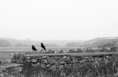 un paseo por Irlanda desde Wexford hasta Kerry