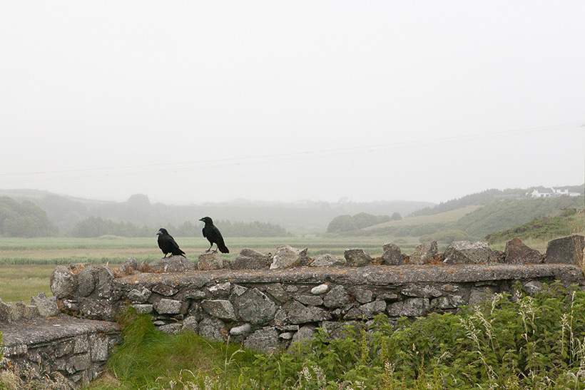 un paseo por Irlanda desde Wexford hasta Kerry