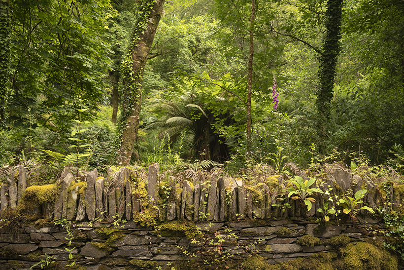 un paseo por Irlanda desde Wexford hasta Kerry