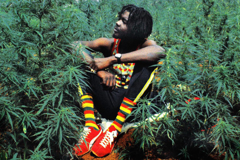 Peter Tosh. Imagen Intel Diplo