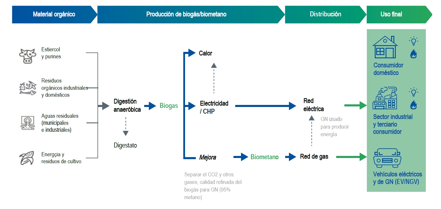 biometafig1